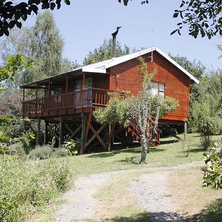 Nibelheim Self Catering Cottage Hogsback Εξωτερικό φωτογραφία